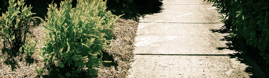 引爆商业潜能的短信轰炸机